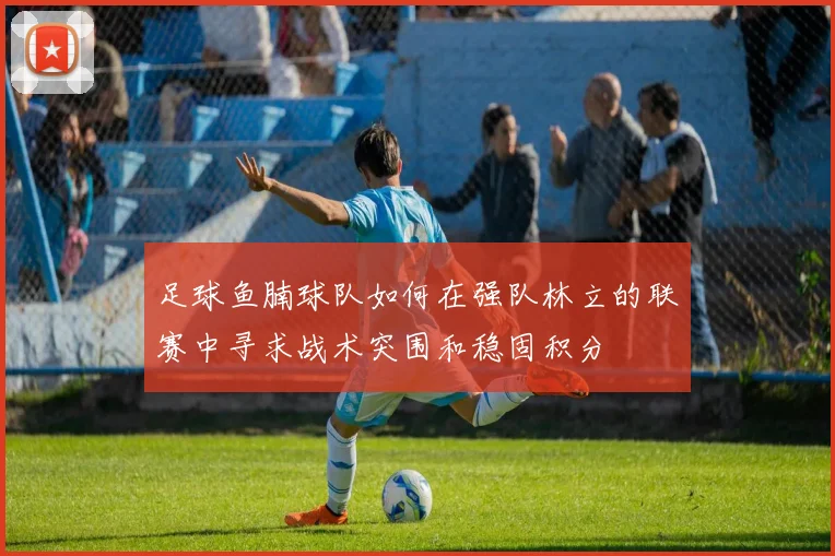 足球鱼腩球队如何在强队林立的联赛中寻求战术突围和稳固积分