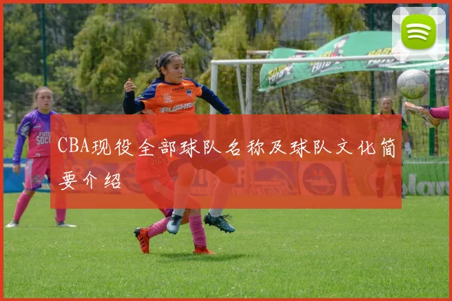 CBA现役全部球队名称及球队文化简要介绍