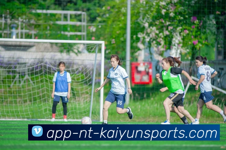 开云体育APP 封面图